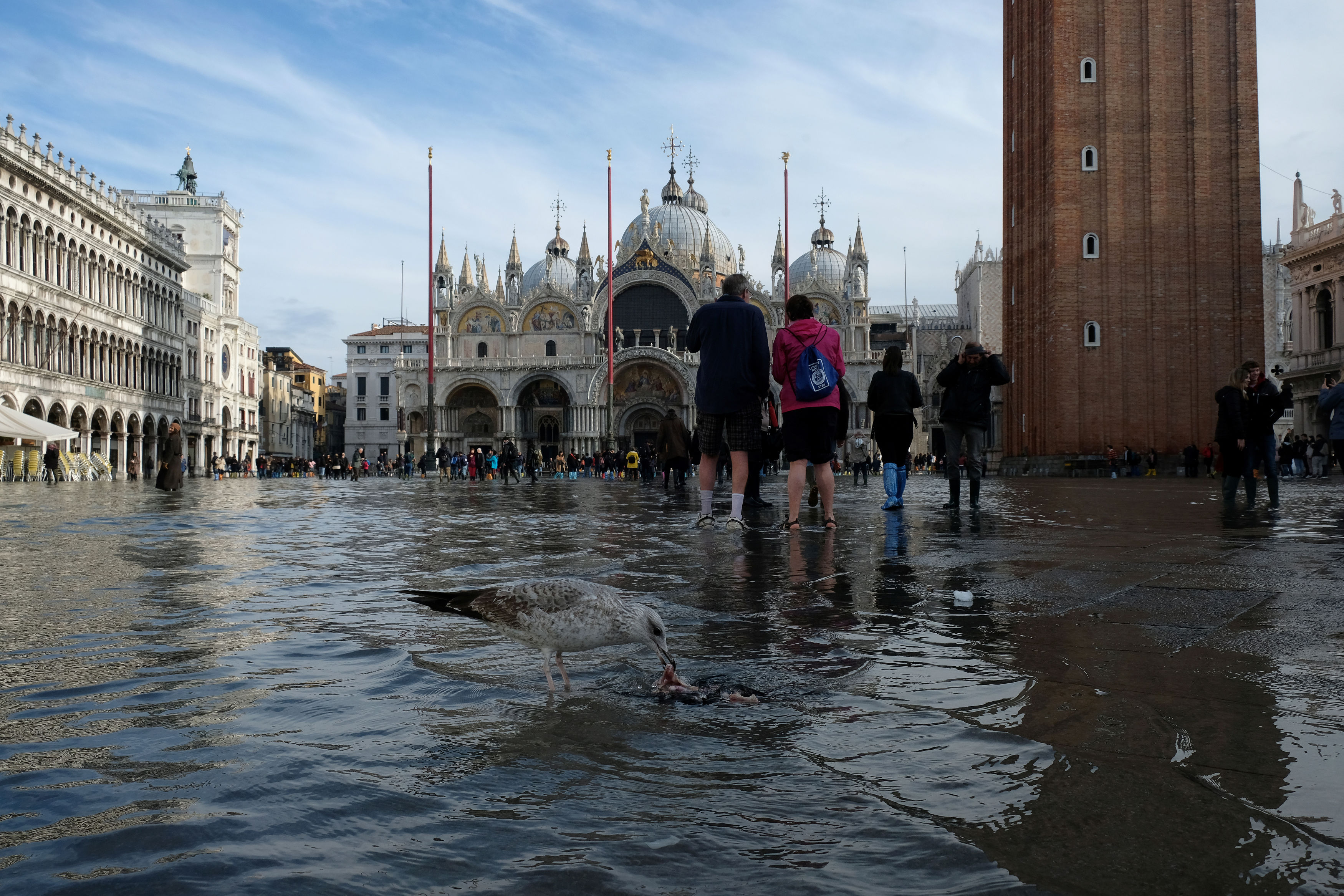 Почему венеция на воде. Венеция площадь Сан Марко. Площадь Святого марка Венеция подтопление. Венеция площадь Сан Марко наводнение.