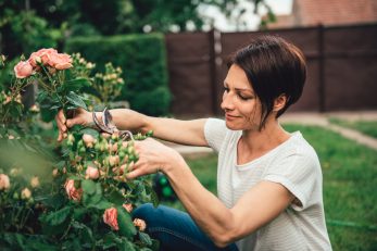 Foto: iStock