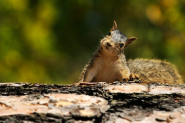 FOTO: iStock