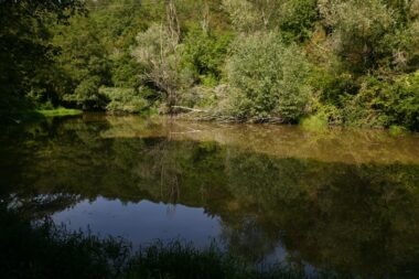 Ornitološki kamp kod lokve Rovozna / Foto M. GRACIN