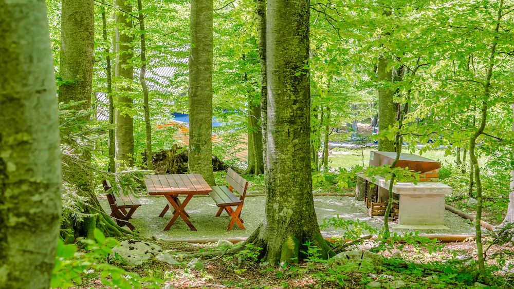 Mjesta za piknik i roštiljanje na Platku / Foto GSC