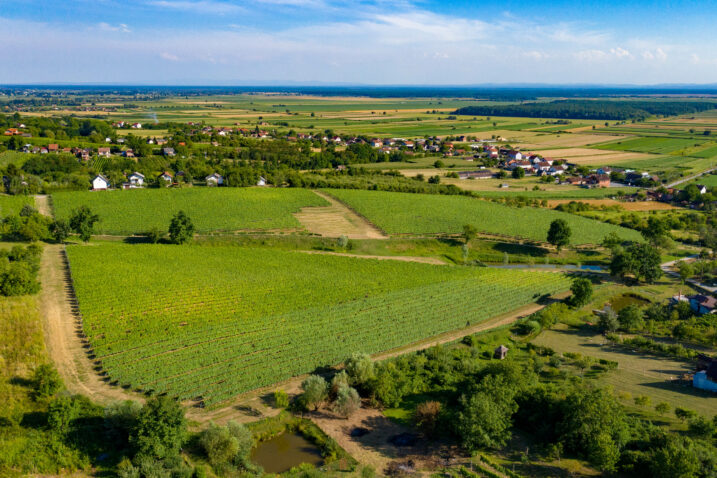 Vinogradi Moslavine, TZ Sisačko-moslavačke županije