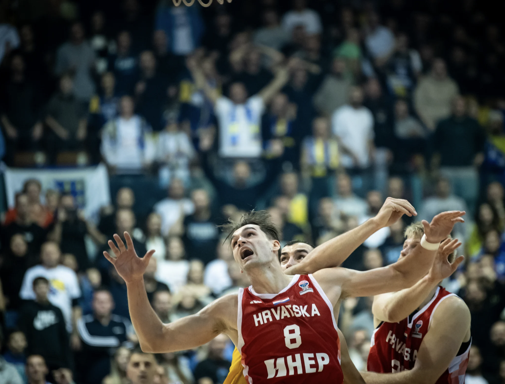 Mario Hezonja/Foto FIBA