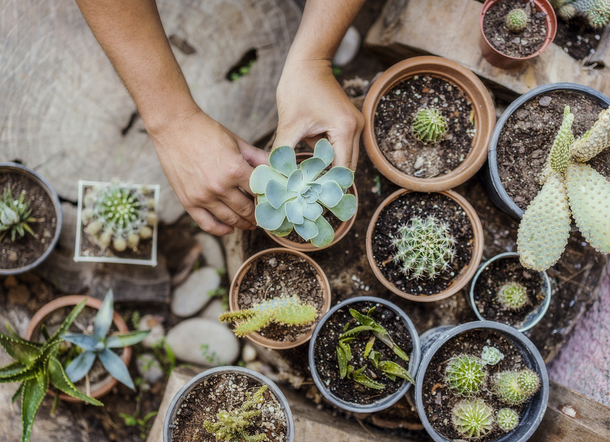 FOTO: iStock