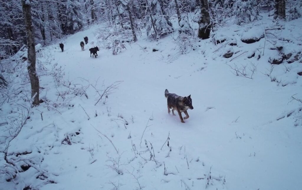 Foto NP Plitvička jezera