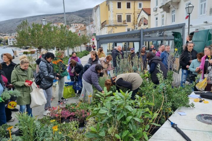 Foto Dorotea Prpić