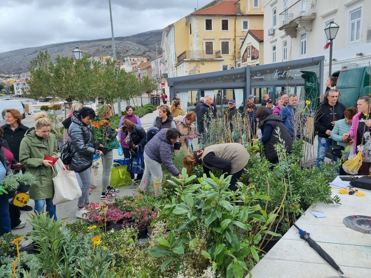 Foto Dorotea Prpić